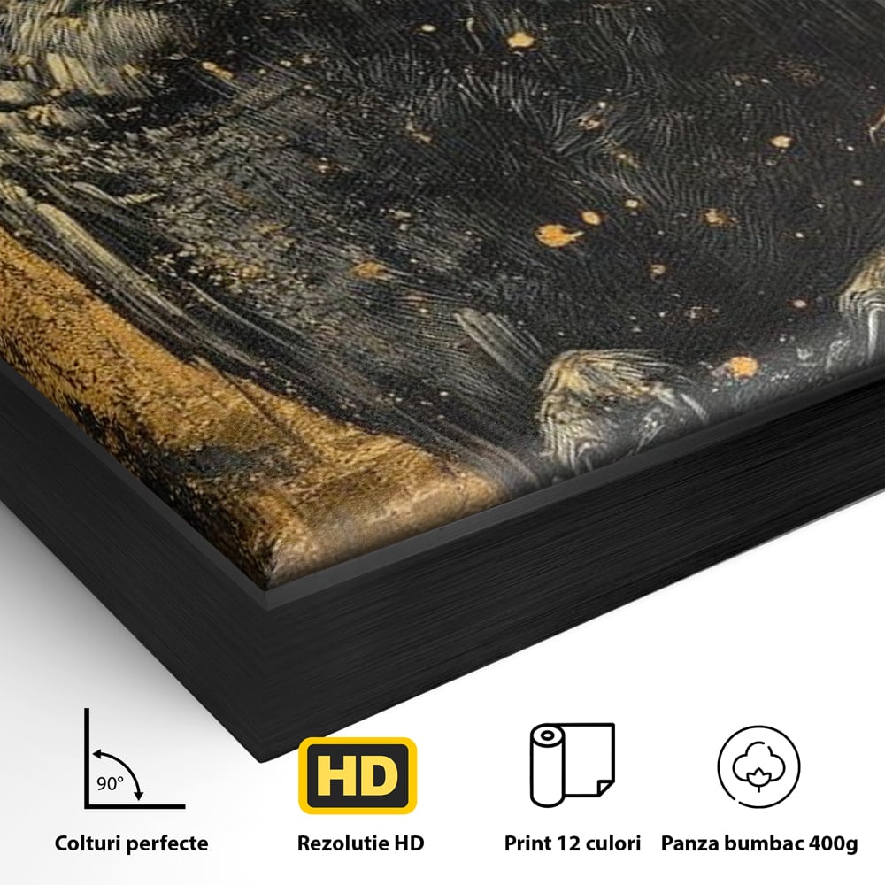 Detaliu al suprafetei: tablou canvas cu bufnita neagra si fundal auriu, in rama de aluminiu negru